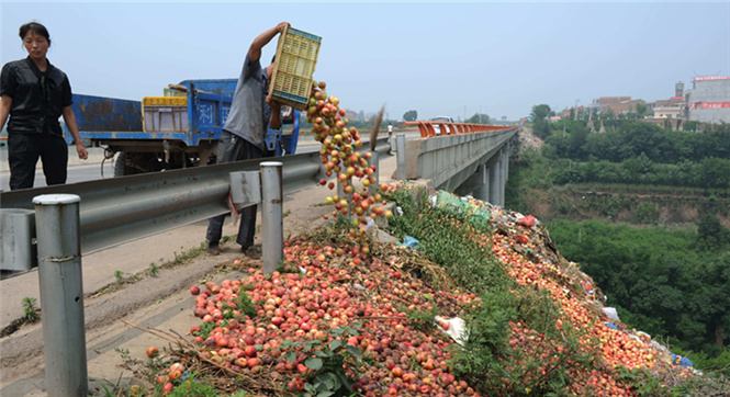 陕西周至：油桃滞销 果农无奈倒进河道