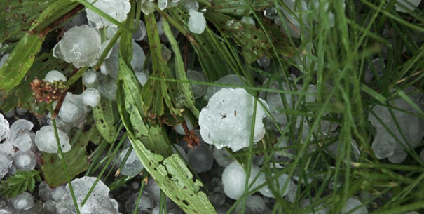 甘肃天祝县遭受强降雨冰雹天气