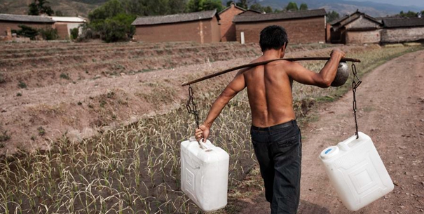 图片故事：酷旱下的无奈坚守