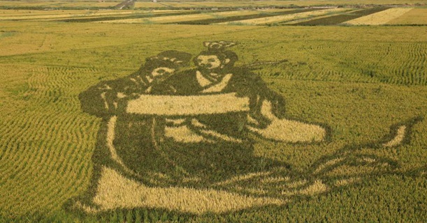 稻田画《凤求凰》亮相辽宁红海滩