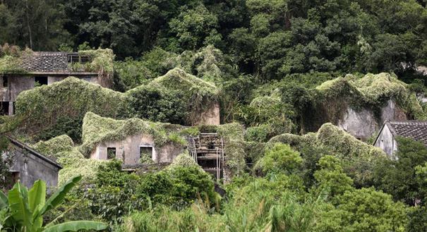 浙江一荒废23年古村变身绿野仙踪般童话世界
