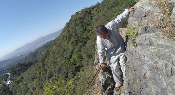 北京香山环卫工攀峭壁拾垃圾