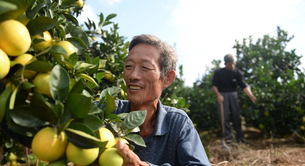 江西赣州：&ldquo;十二五&rdquo;以来110万贫困群众实现脱贫