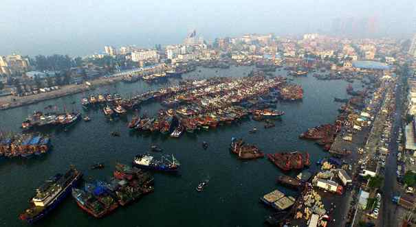 广西北海：秋晨归来鱼满舱