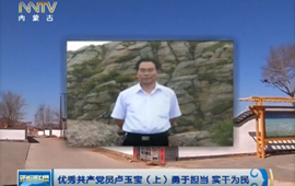 优秀共产党员卢玉宝（上）勇于担当 实干为民