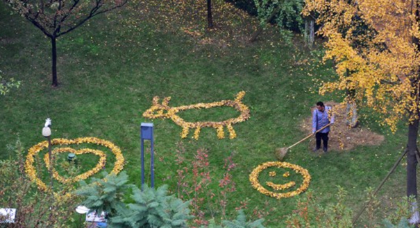 成都现&ldquo;最文艺&rdquo;扫地大爷 树叶作画引围观