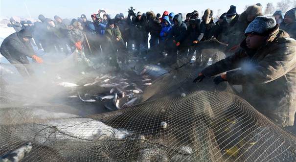 哈尔滨长岭湖&ldquo;极寒&rdquo;冬捕