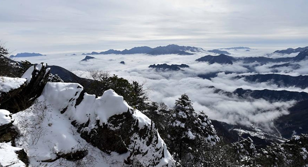 神农架多地现云海奇观