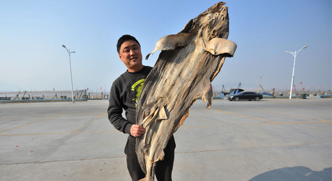 青岛渔民忙制腌鱼 200斤&ldquo;鱼干王&rdquo;亮相