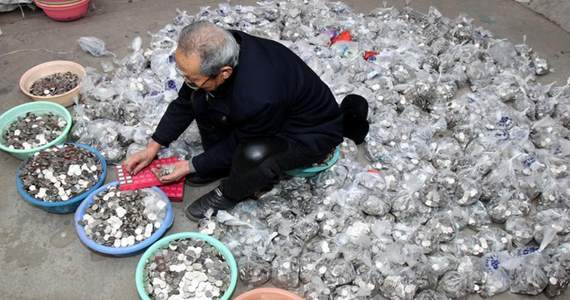 老人攒30万元硬币求兑换 称&ldquo;钱多也烦恼&rdquo;