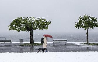 瑞士降雪