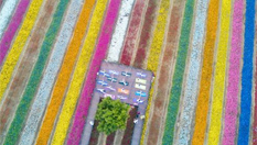 无锡瑜伽爱好者&ldquo;七彩花园&rdquo;中备战国际瑜伽节