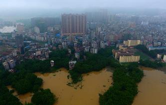 西江广西藤县段水位超警戒