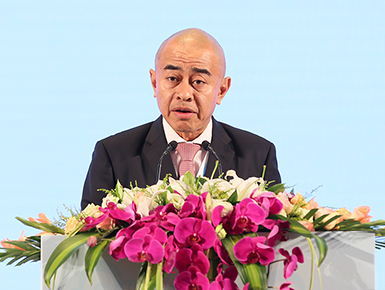 文莱卫生部部长祖尔卡奈&middot;宾&middot;哈纳菲发言