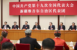 俞正声参加十九大新疆代表团讨论