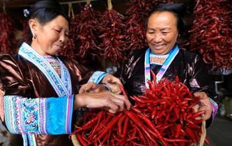 广西苗山群众举行辣椒选美庆丰收