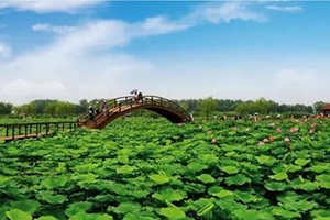 实施12项重点工程　今年河北将完成营造林770万亩