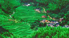 我国林业遥感卫星数据70%实现自给