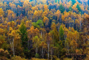 塞罕坝林场石质荒山攻坚造林