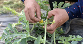 &ldquo;勇&rdquo;斗贫困