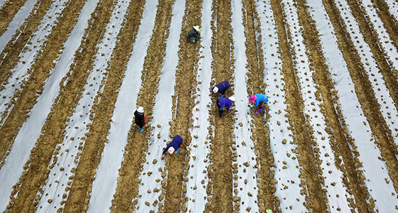 啃下最后的硬骨头&mdash;&mdash;脱贫攻坚挂牌督战进行时