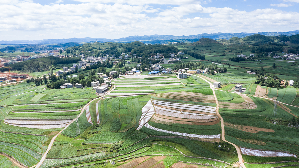 田野&ldquo;变奏&rdquo;让薄土&ldquo;生金&rdquo;&mdash;&mdash;贵州农村产业革命助推脱贫攻坚见闻