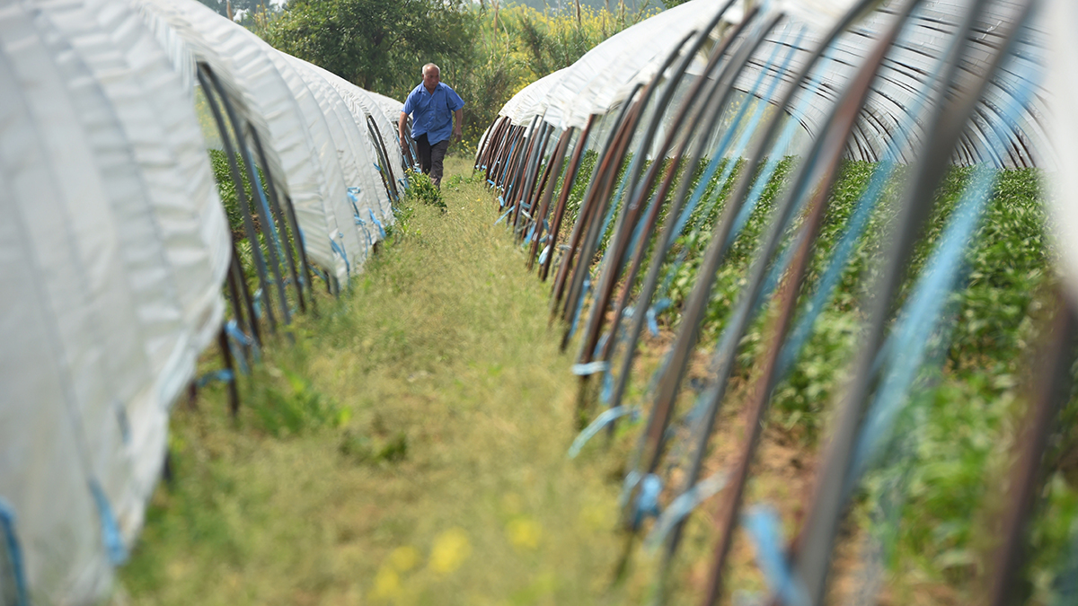 从贫困户到&ldquo;董百万&rdquo;