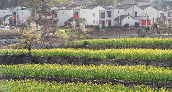 红土地上的&ldquo;绿色减贫&rdquo;决战&mdash;&mdash;大别山&ldquo;将军县&rdquo;金寨脱贫纪实