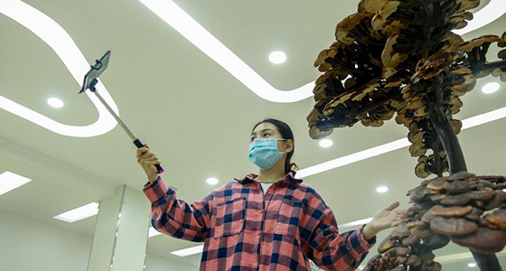 河北广宗：扶贫直播间 云端带致富