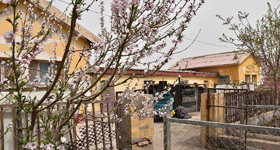 &ldquo;桃花源&rdquo;里话丰年 &mdash;&mdash;帕米尔山区一处扶贫搬迁点见闻