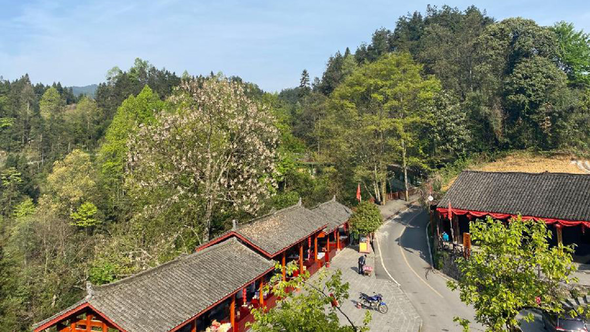 深山苗寨的别样春天&mdash;&mdash;疫情下的十八洞村见闻