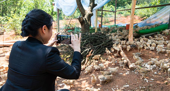 扶贫干部唐华容：治疾病也治&ldquo;穷病&rdquo;