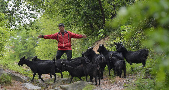 &ldquo;听&rdquo;来的致富经 &ldquo;摸&rdquo;出的&ldquo;牛&rdquo;生活