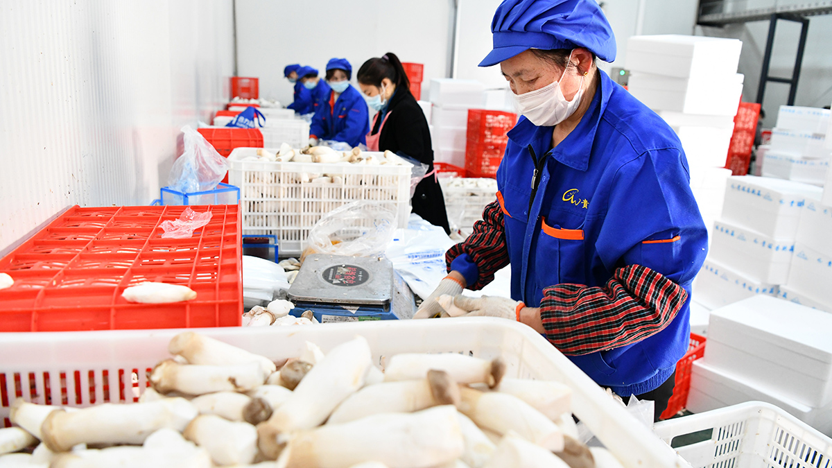 补短板 促就业 稳增收&mdash;&mdash;贵州向脱贫&ldquo;硬骨头&rdquo;发起总攻