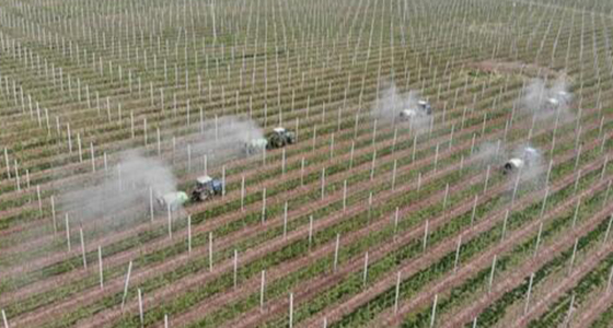 甘肃镇原：脱贫攻坚冲刺时