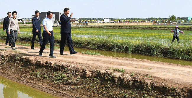习近平在银川考察调研