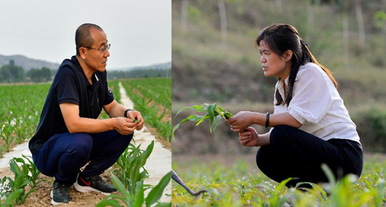 扶贫&ldquo;夫妻档&rdquo;