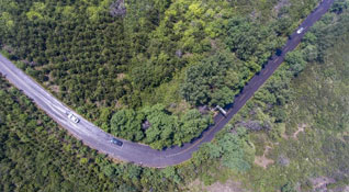 山西推进草原生态保护修复力争实现&ldquo;黄土不露脸&rdquo;