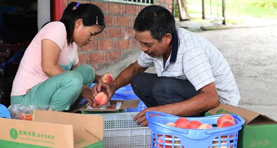 重庆万州：产业助脱贫