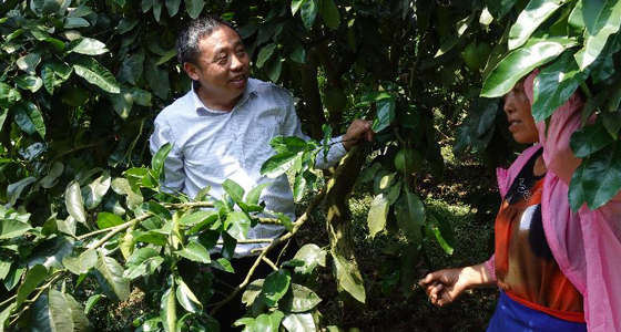 贵州思南：强村带弱村 &ldquo;抱团&rdquo;促增收