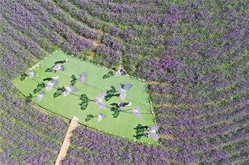 戈壁&ldquo;镍都&rdquo;变田园花城