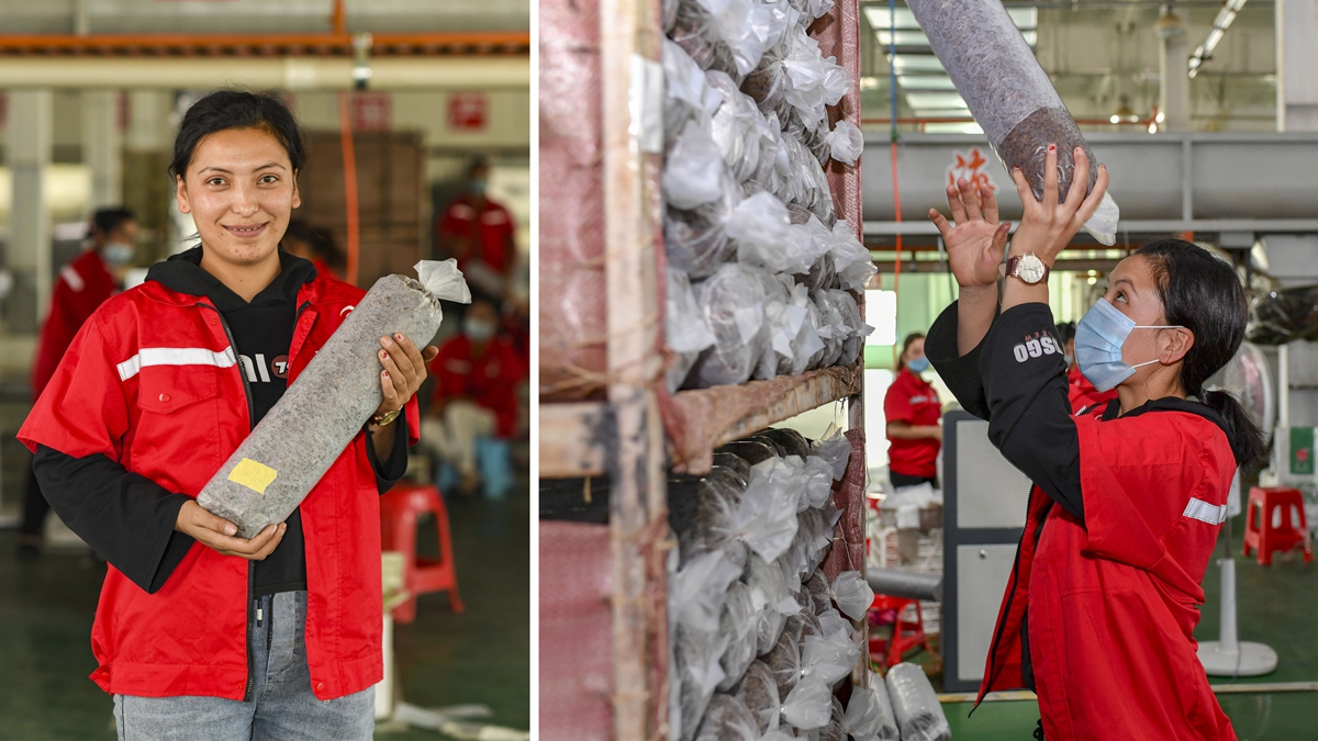 脱贫靠双手&mdash;&mdash;新疆和田地区未摘帽县就业见闻