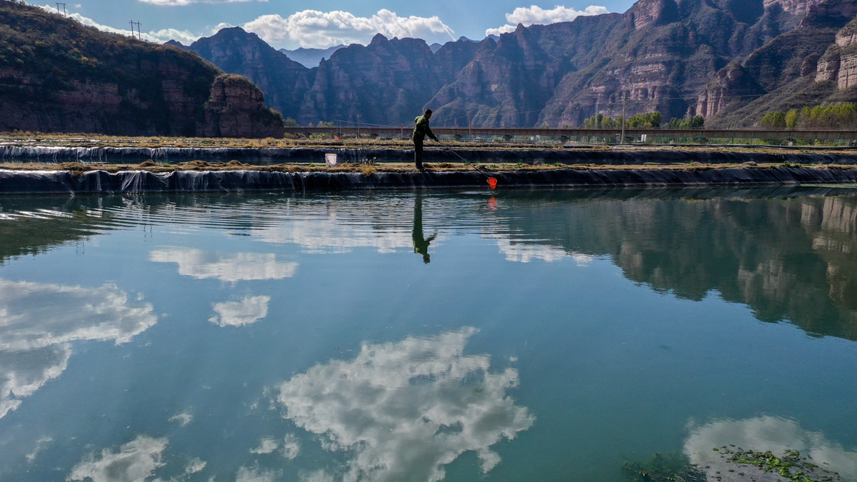 太行山贫困村庄&ldquo;蝶变记&rdquo;