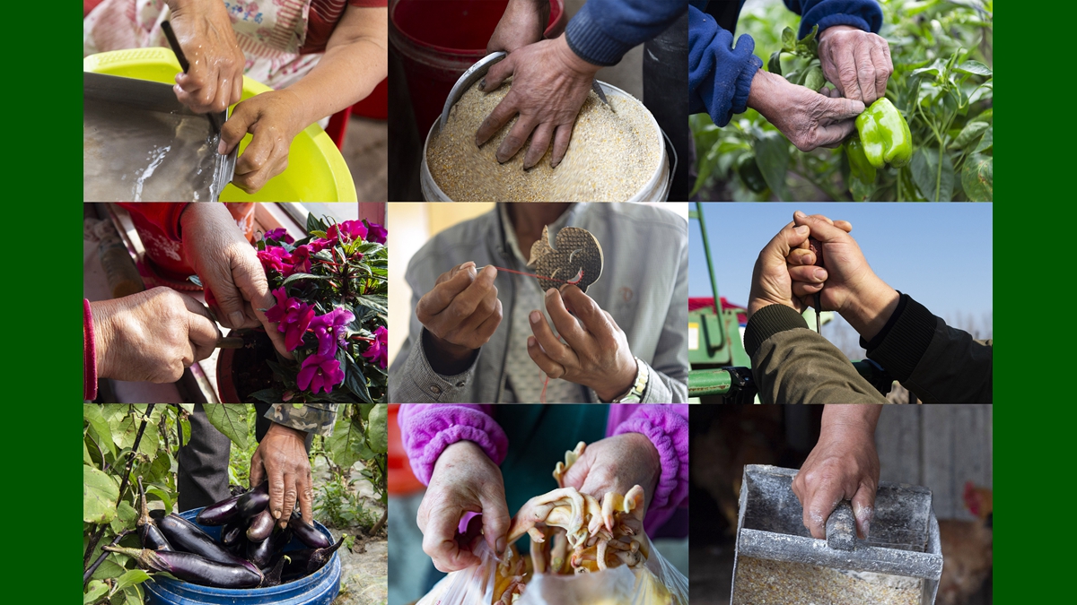 勤劳的手创造幸福生活&mdash;&mdash;&ldquo;华夏东极&rdquo;脱贫影像志