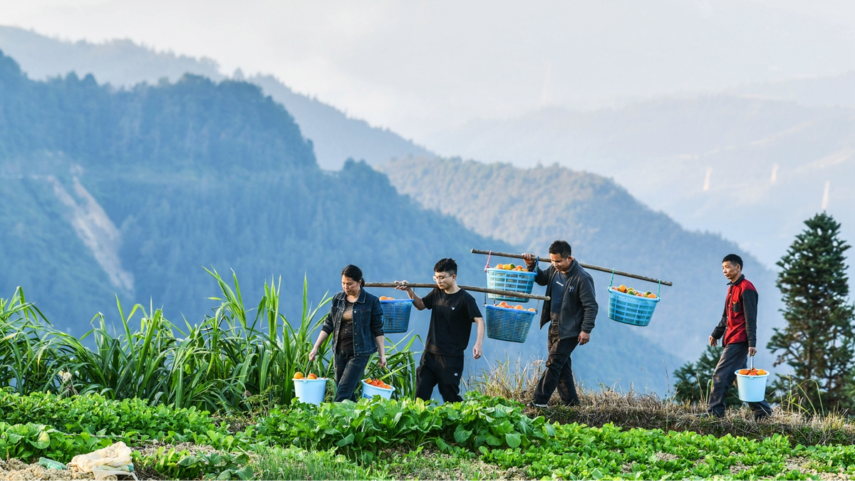 月亮山脱贫影像志&mdash;&mdash;上阵&ldquo;母子兵&rdquo; 勠力战贫困