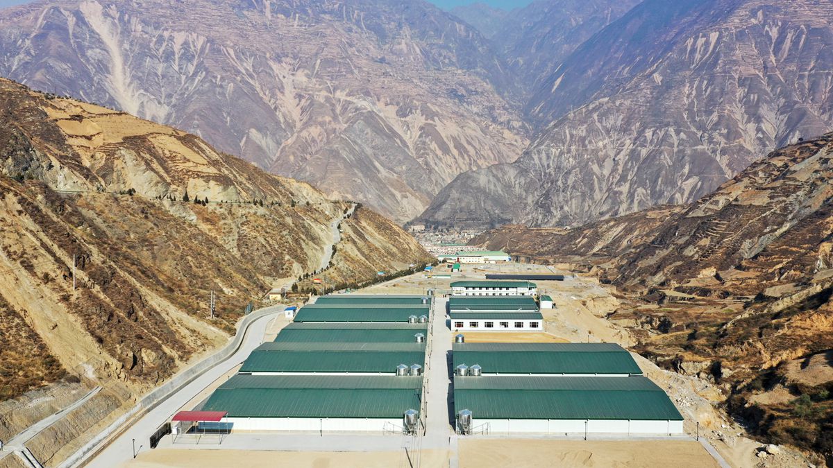 东西部携手 聚力乡村振兴