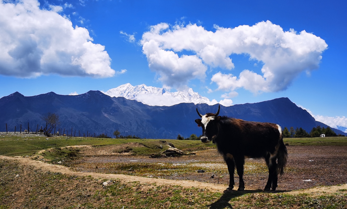 西藏吉隆沟：珠峰后花园