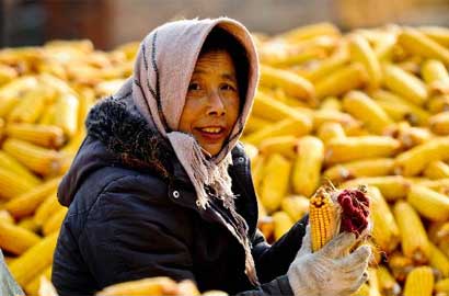 &ldquo;粮仓&rdquo;黑龙江秋收进入尾声