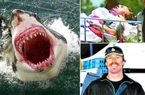 全球勇敢击退猛兽的牛人