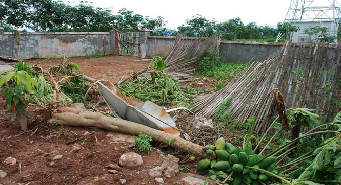 野象为何如此任性？&mdash;&mdash;云南&ldquo;人象冲突&rdquo;现象调查